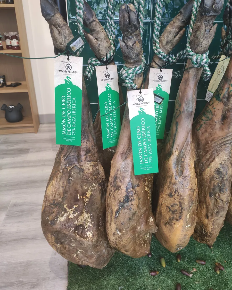 Jamones de cebo de campo ibérico 75 % raza ibérica